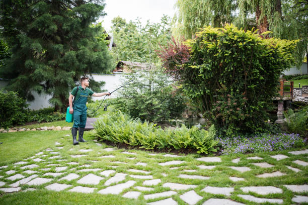 Best Pest Control Near Me  in Hampton, MD