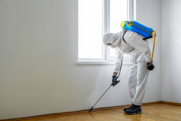 Professional Pest Control in Hampton, MD