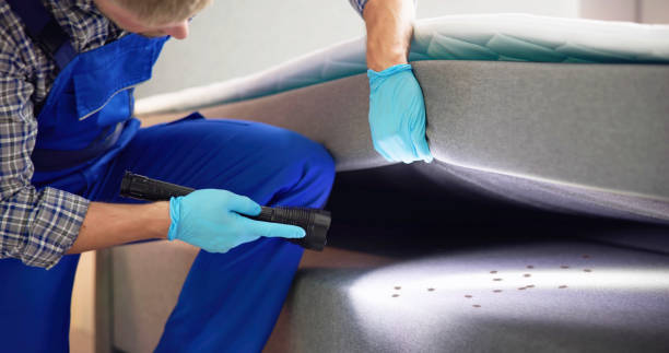 Best Ant Control Services  in Hampton, MD