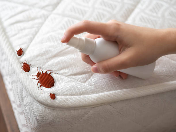Best Cockroach Control Services  in Hampton, MD