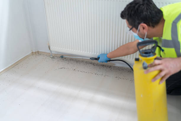 Best Pest Removal Services  in Hampton, MD
